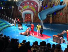 雷电竞-粤西鲸鲨队鏖战塞外黑豹队，举重预选赛惊险晋级，核心复出即建功。保级形势悄然变化(鲨鱼举重赛2)