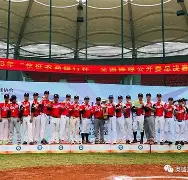雷电竞- 2024年全国青少年棒球联赛总决赛