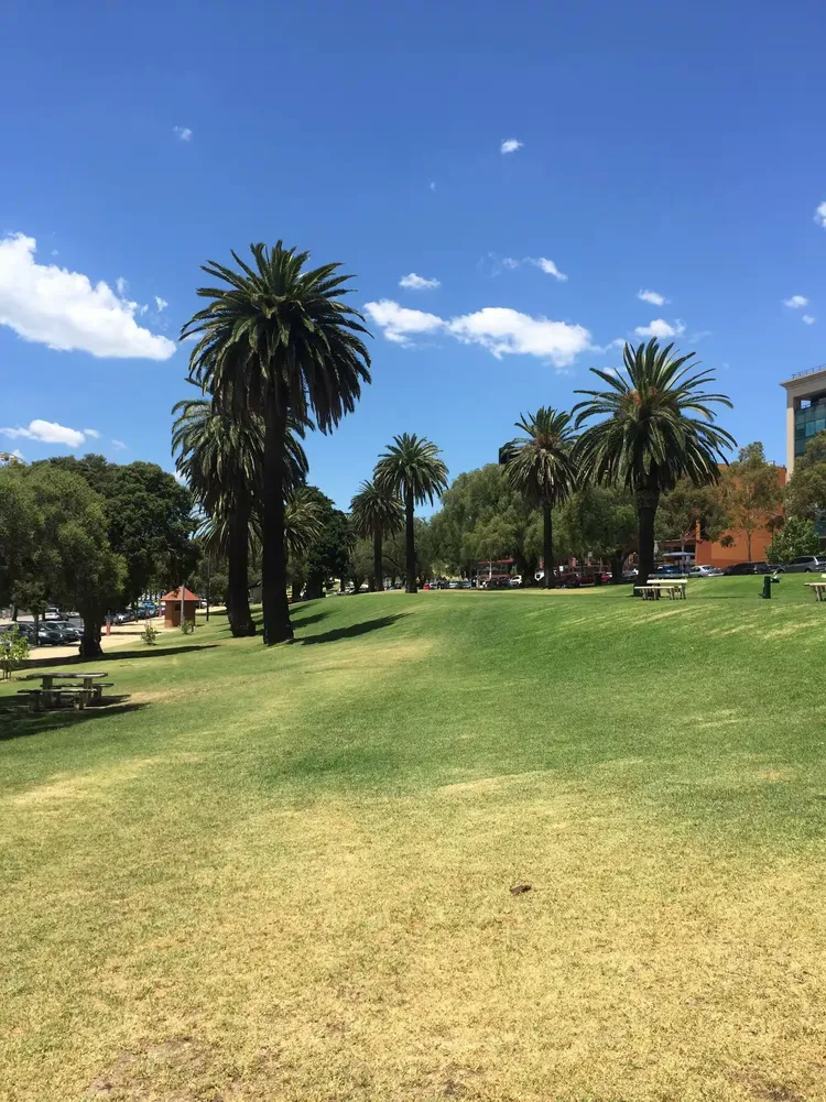 雷竞技- 澳大利亚选手 